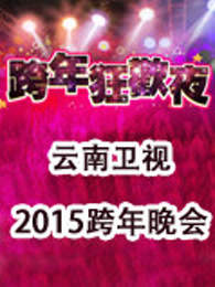云南卫视2015跨年晚会